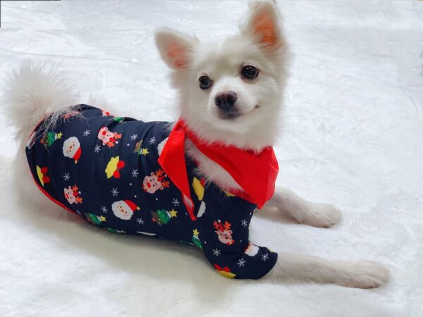 Zomaica Family Christmas Matching Pajamas Set Christmas Pajamas For Family Christmas PJS Xmas Sleepwear - Image 5